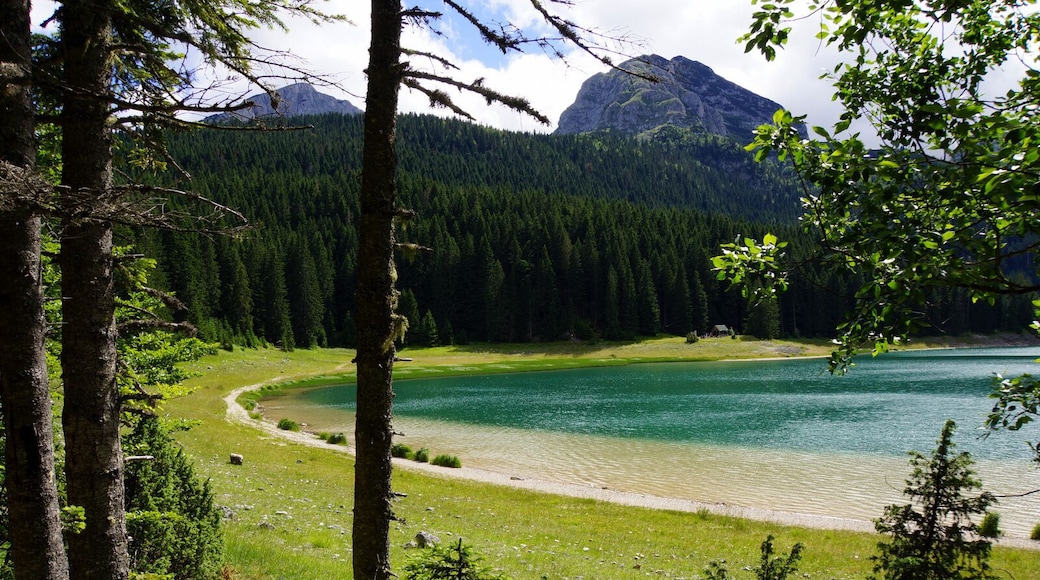 The sight is unforgettable!
Here is a 3,5km walking path around the whole lake. In winter, the lake is covered by a layer of ice for a long time. In summer it warms up to 20 degrees so that it is possible to swim in it.