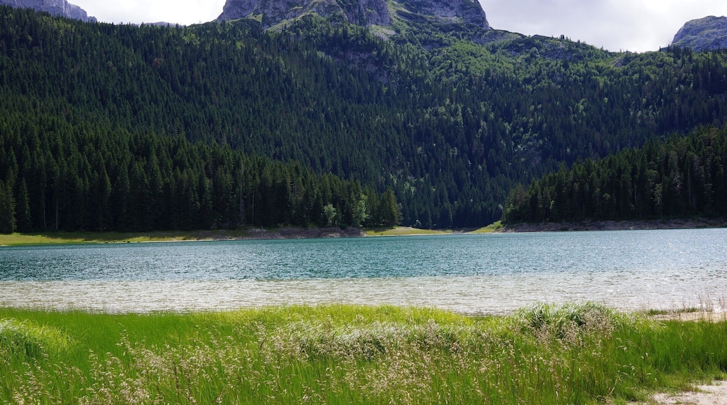 It is of outstanding beauty!