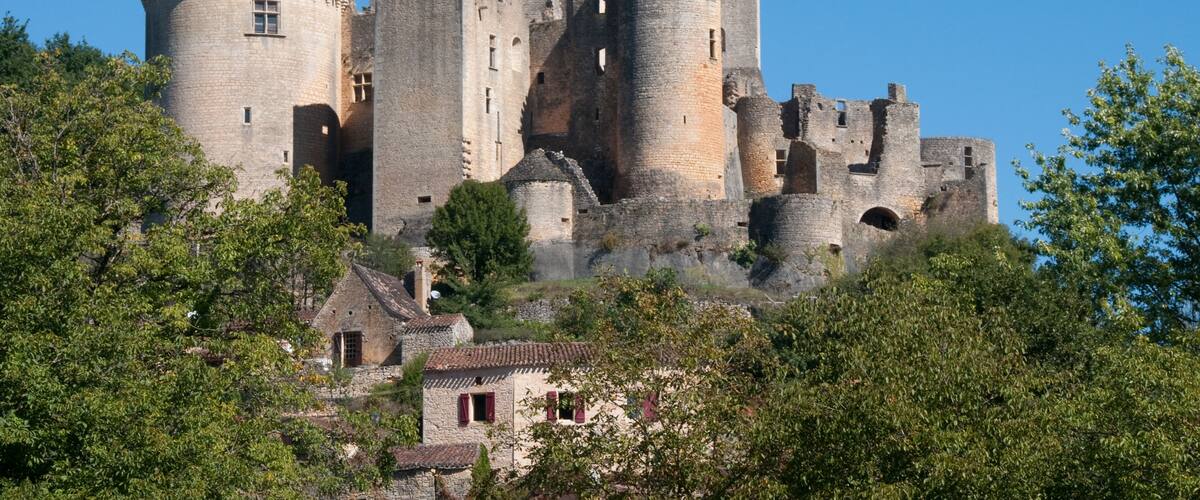 A historic castle with multiple towers and a flag, surrounded by trees and small buildings.