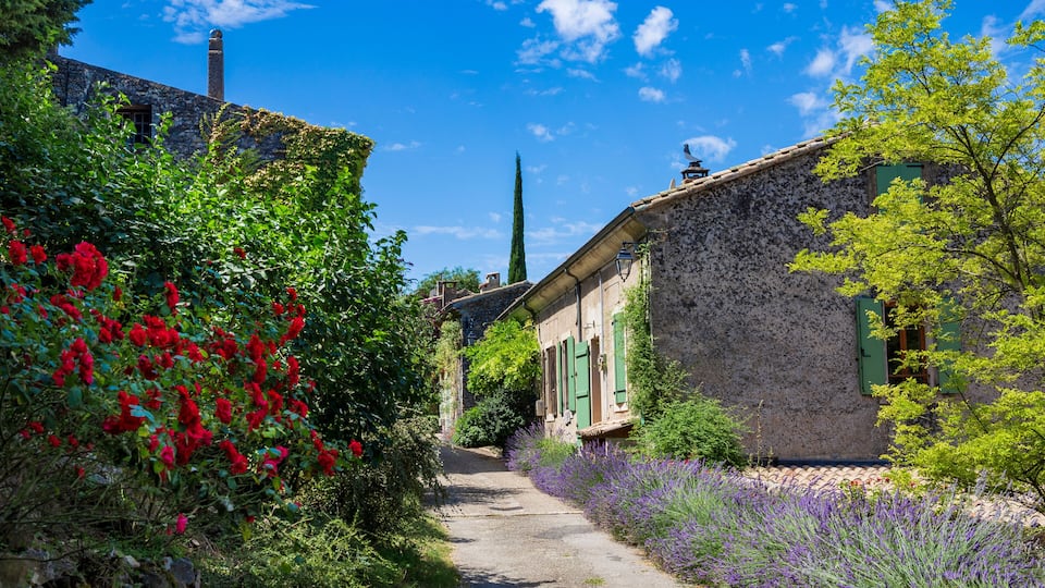 A narrow cobblestone path flanked by lush greenery and flowering plants, leading to traditional stone buildings with green shutters.