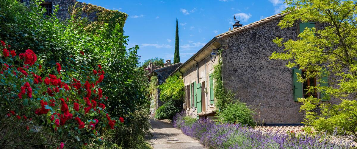 A narrow cobblestone path flanked by lush greenery and flowering plants, leading to traditional stone buildings with green shutters.