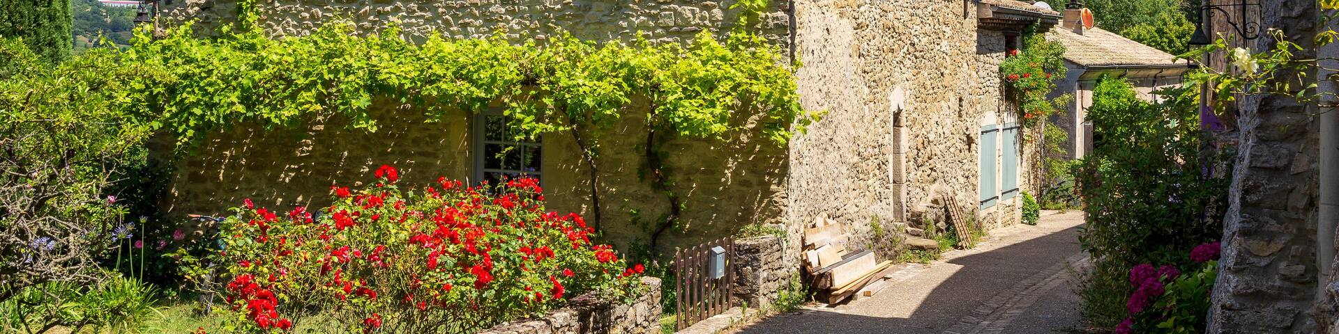 A stone house with a thatched roof, surrounded by lush greenery and red flowers.