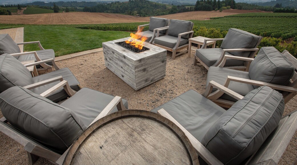 The view from the hills of Dundee overlooking the Willamette Valley are stunning. The view from Bella Vida Vineyard symbolizes the name.
#greatoutdoors