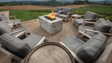 The view from the hills of Dundee overlooking the Willamette Valley are stunning. The view from Bella Vida Vineyard symbolizes the name.
#greatoutdoors