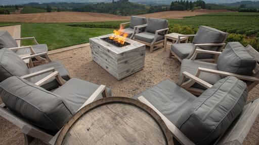 The view from the hills of Dundee overlooking the Willamette Valley are stunning. The view from Bella Vida Vineyard symbolizes the name.
#greatoutdoors