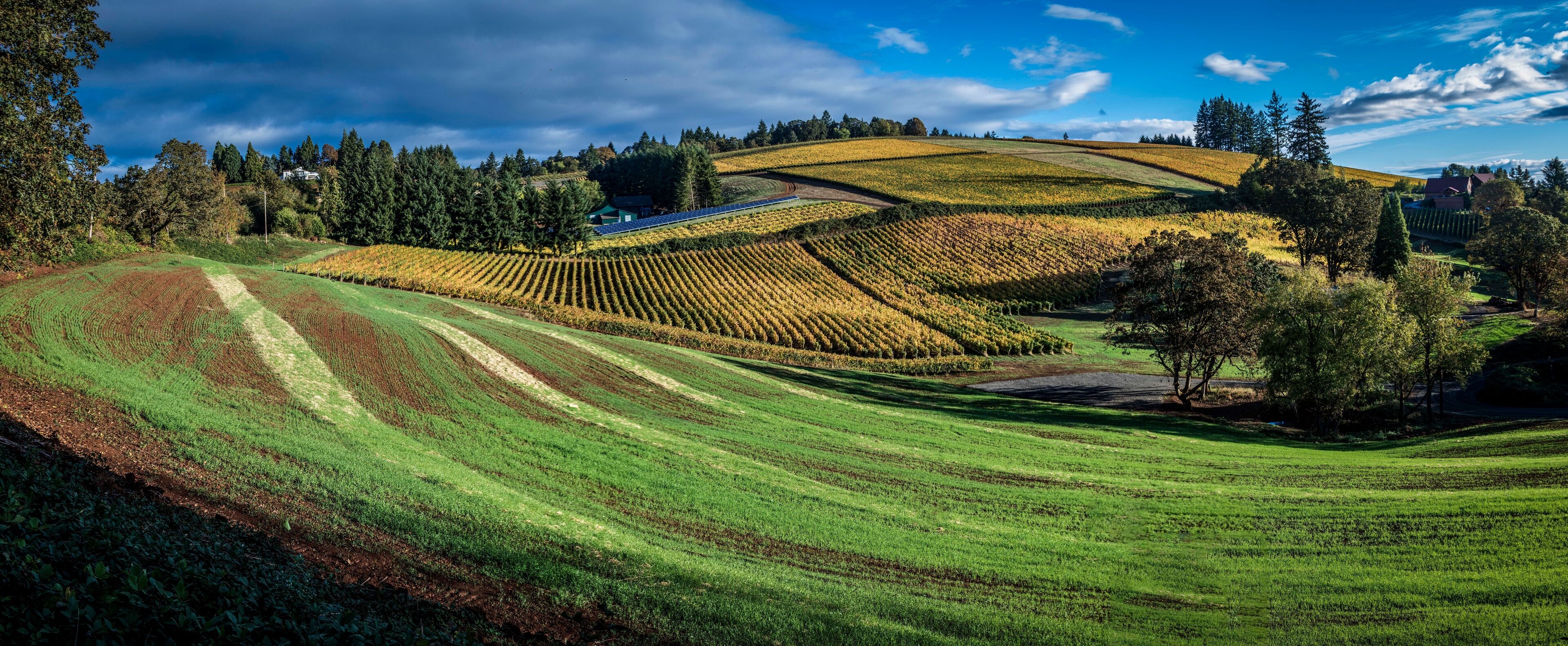 Oregon Wine Country
