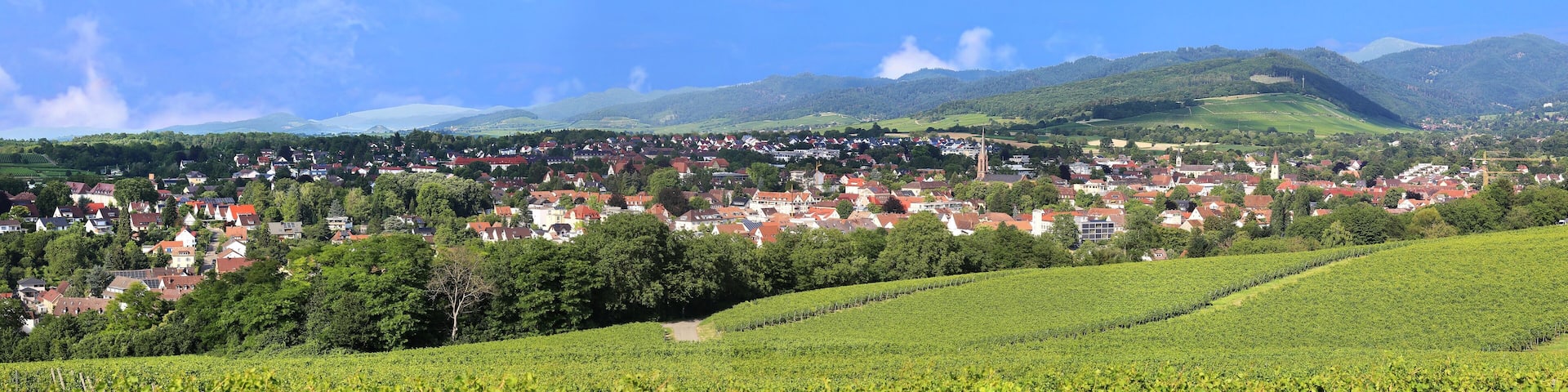 Panorama view of the city Müllheim, Baden