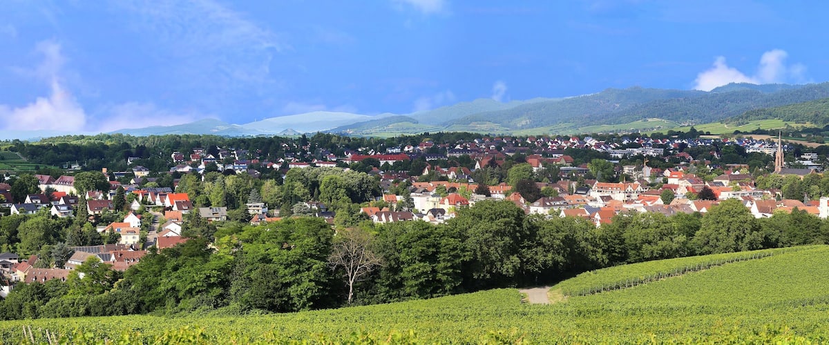 A town nestled in a valley with vineyards and a church.