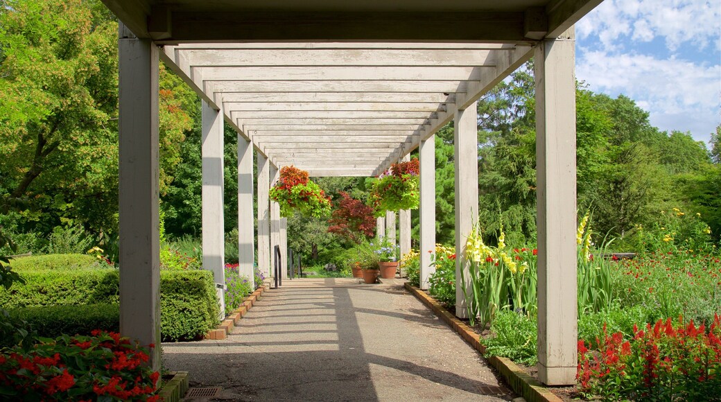 Minnesota Landscape Arboretum