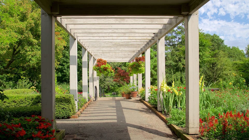 A garden pathway under a pergola with hanging flower baskets and a variety of plants.