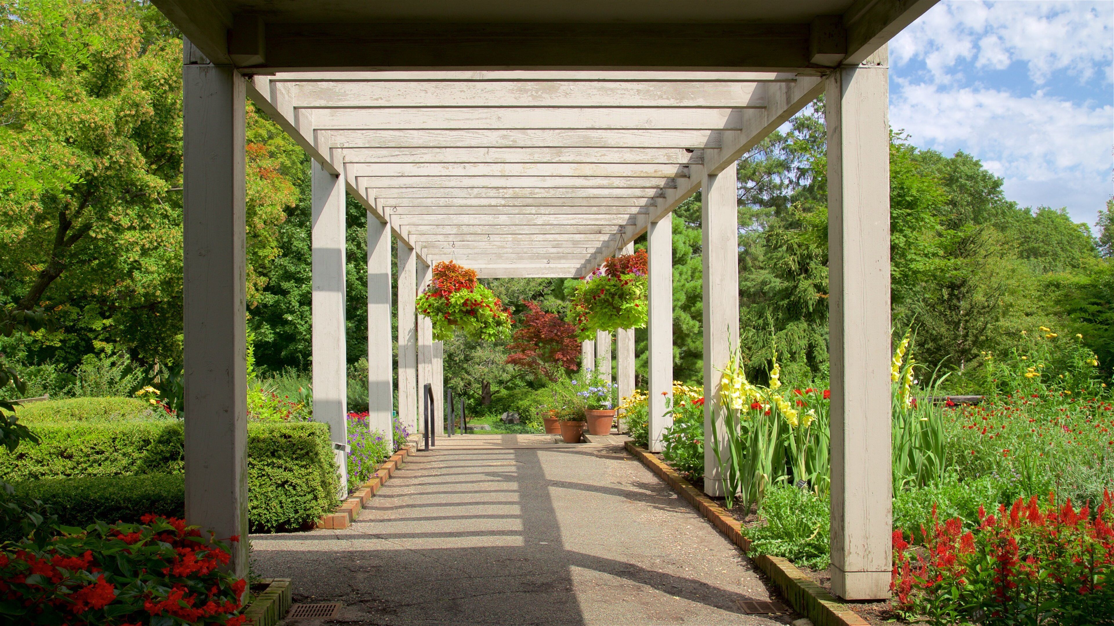 A garden pathway under a pergola with hanging flower baskets and a variety of plants.
