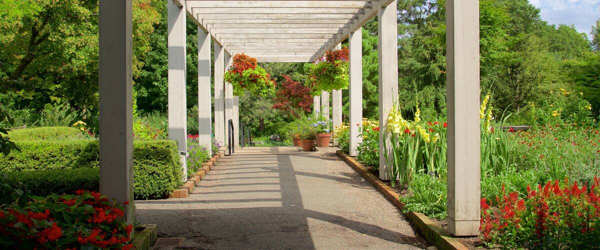 A garden pathway under a pergola with hanging flower baskets and a variety of plants.