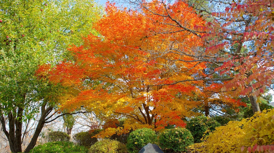 Minnesota Landscape Arboretum joka esittÀÀ puisto ja syksyn vÀrit