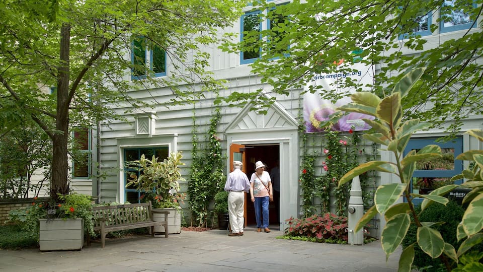 A building with a white facade and blue trim, surrounded by greenery and a bench.