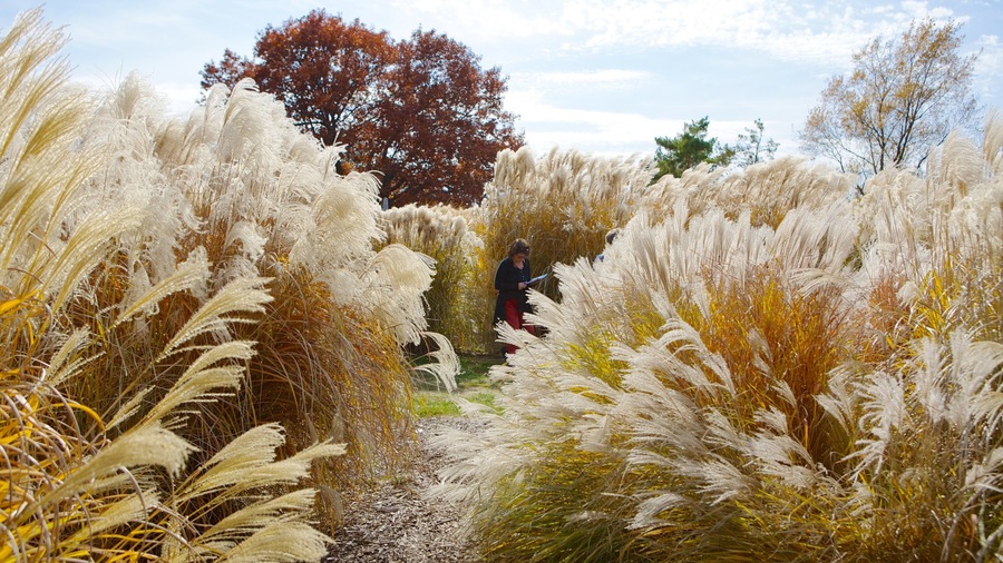 Minnesota Landscape Arboretum featuring a garden, landscape views and autumn leaves