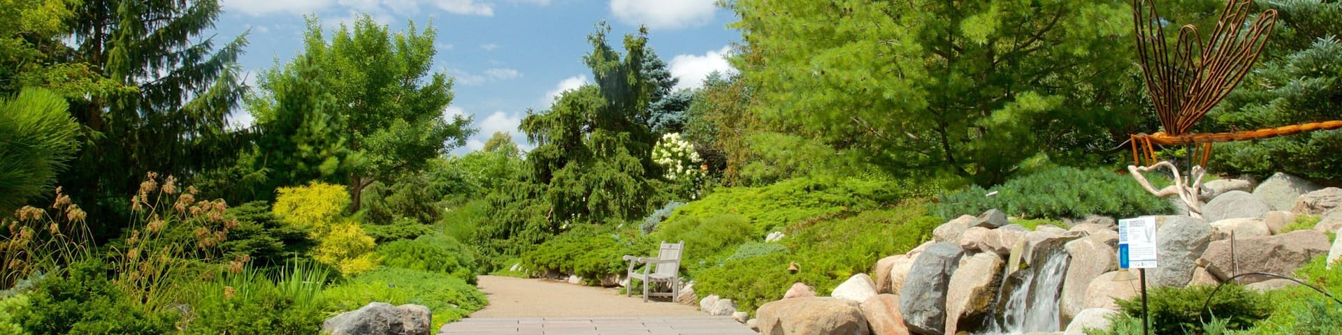 Minnesota Landscape Arboretum showing a park