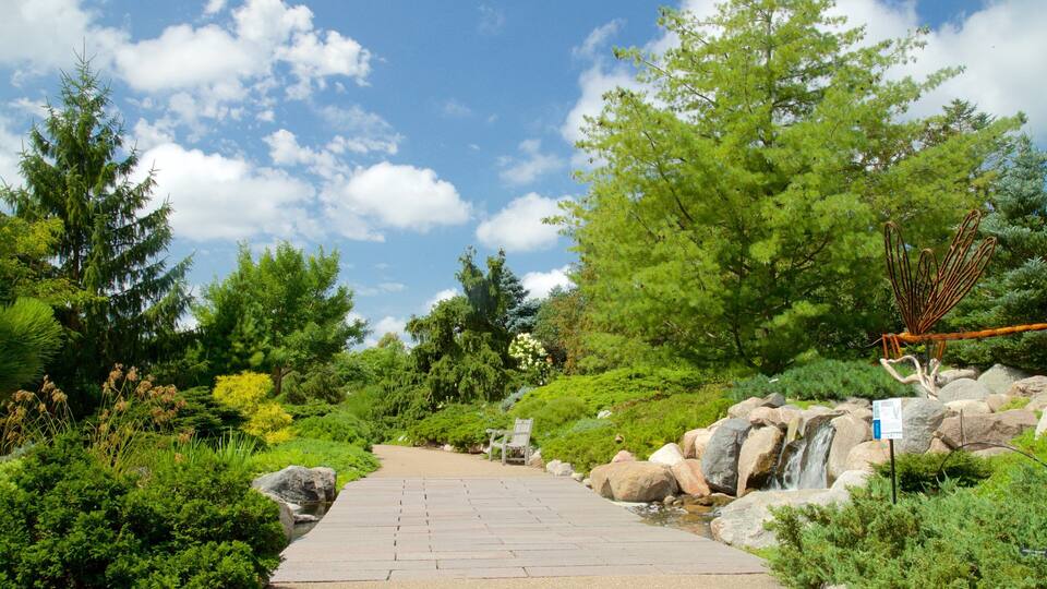 A stone pathway leading to a waterfall, surrounded by lush greenery and trees.