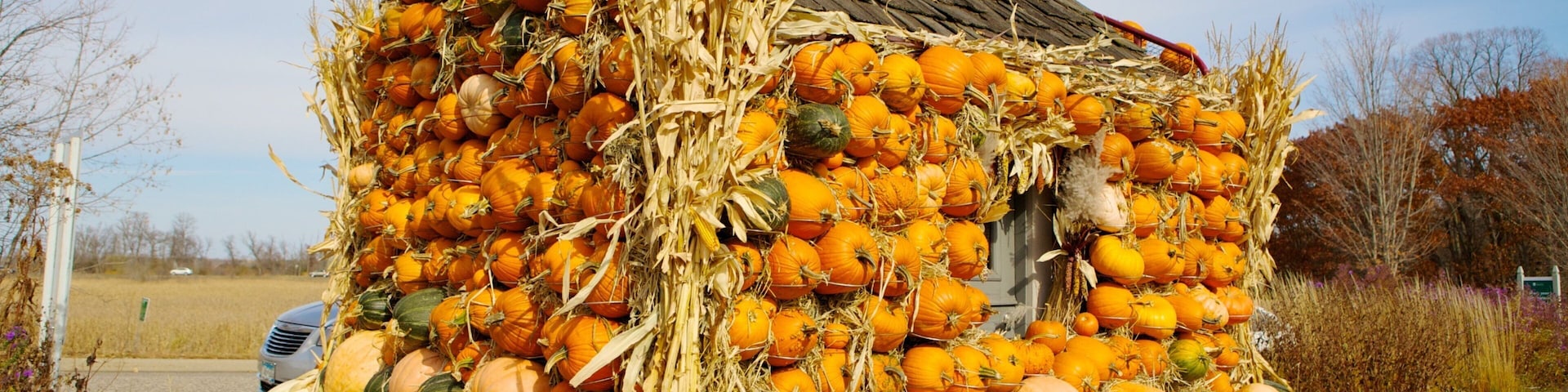 Minnesota showing food