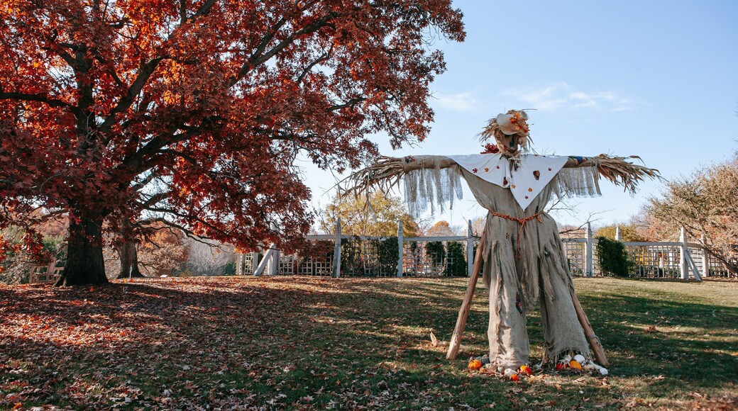 Minnesota Landscape Arboretum