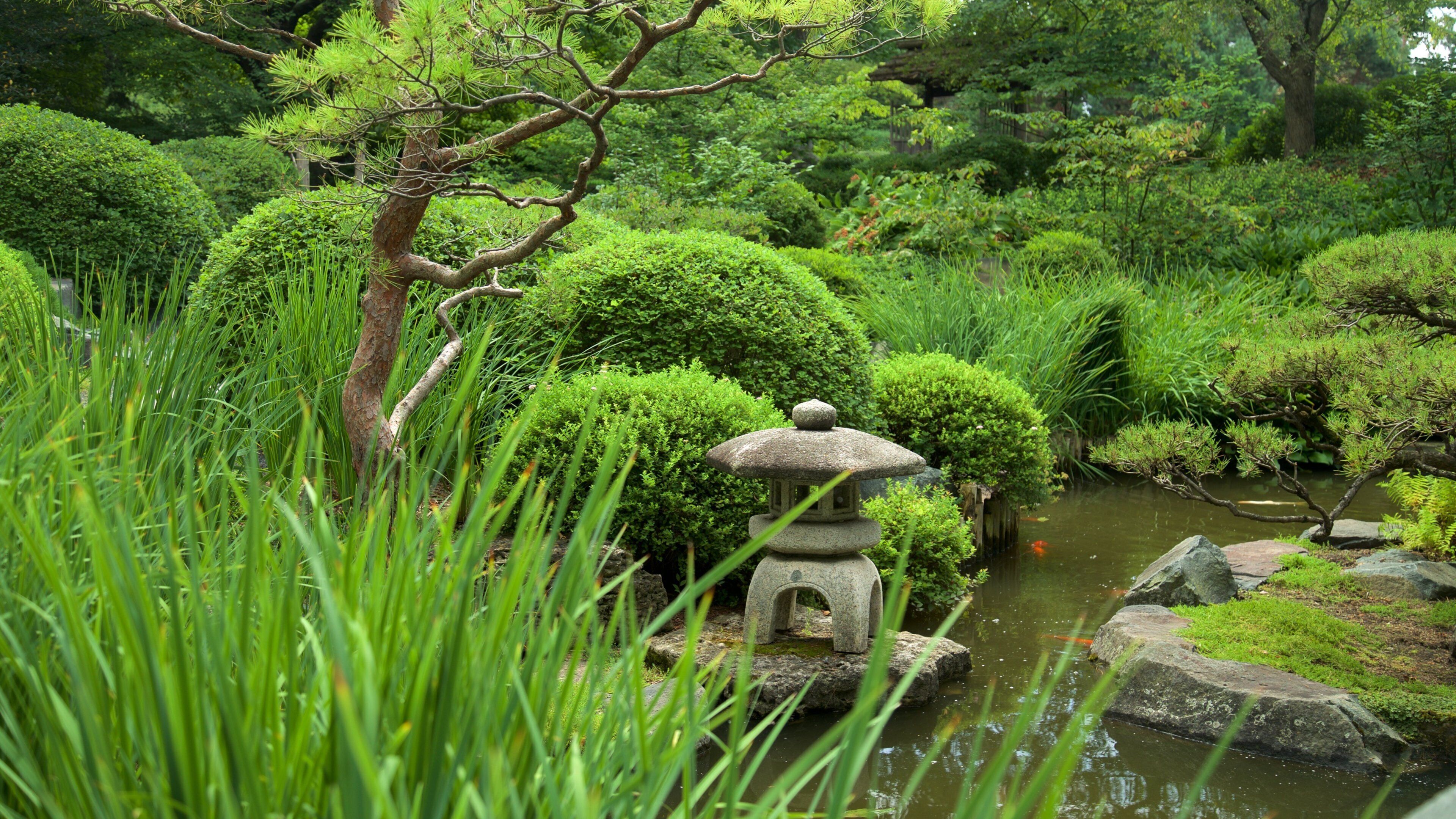 Minnesota Landscape Arboretum showing a pond and a garden