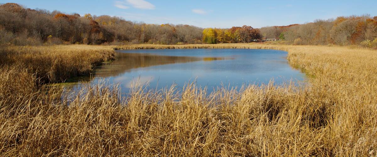 Minnesota Landscape Arboretum which includes tranquil scenes, landscape views and a pond