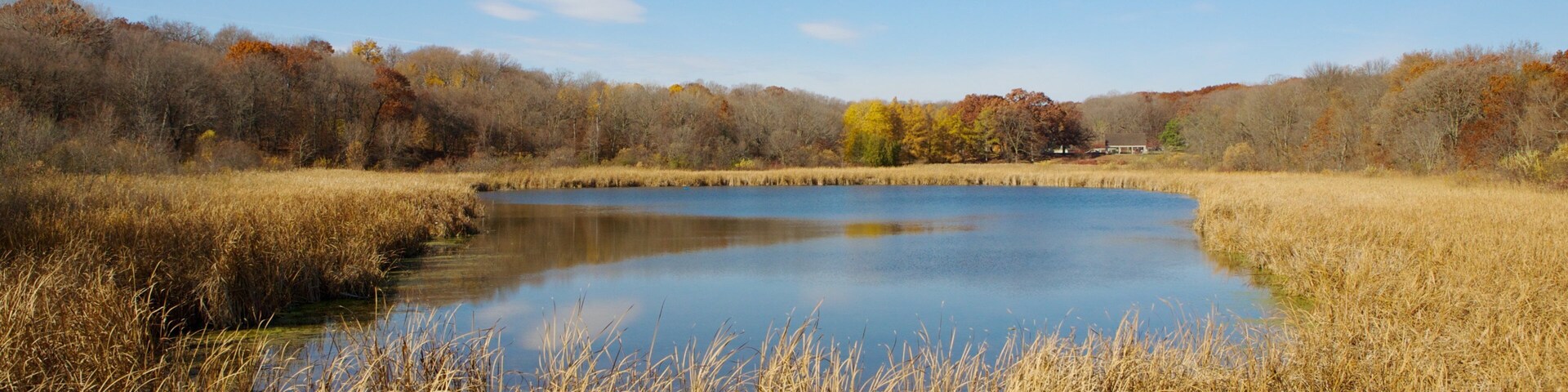 Um lago tranquilo rodeado por árvores com cores de outono e gramíneas altas.