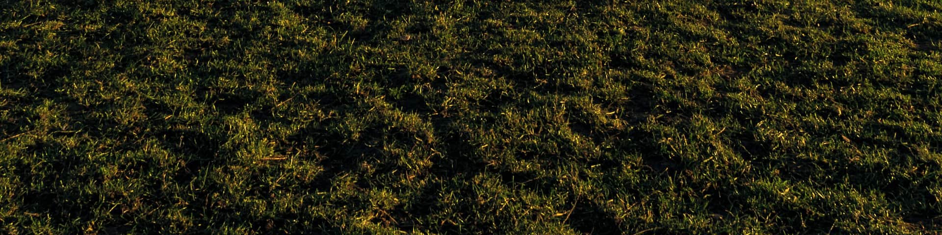 Really cool place when the sun is right, just look out for the sheep.