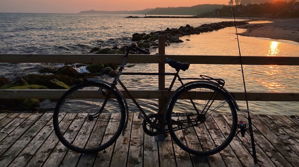 Hey, the golden hour apparently also comes with bicycles!