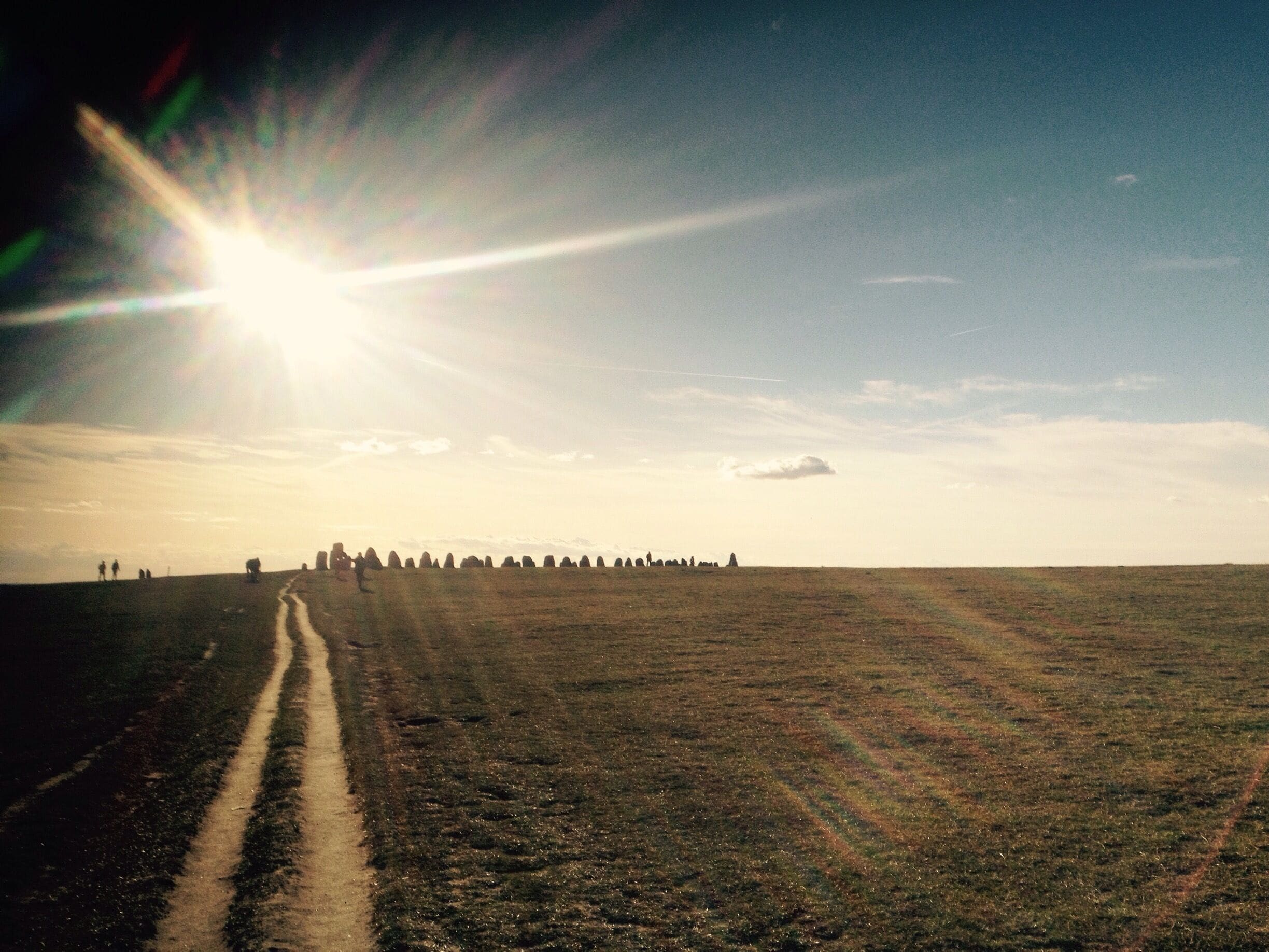 A vast open field with a dirt path leading towards a distant group of trees.