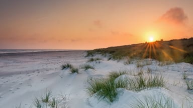 At a place called sandhammaren there is this long white sand beach. At sunset, its magical!