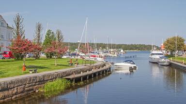 A marina with boats docked, a grassy area with benches, and a stone wall along the water.