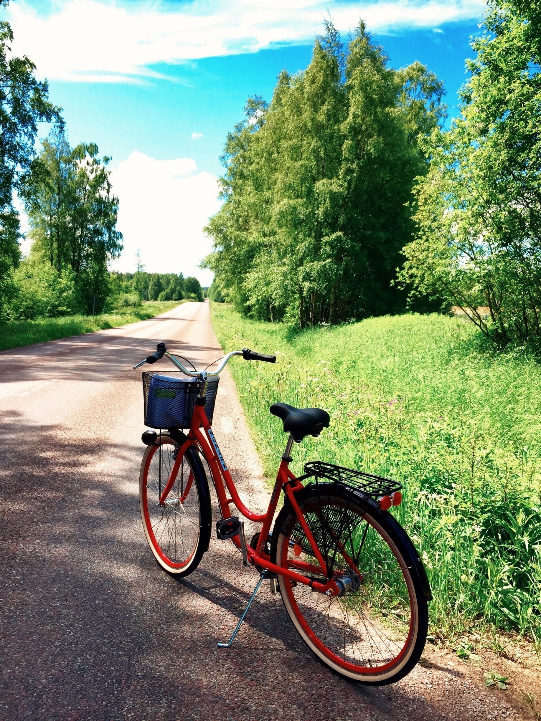 Summertime in Sweden🚲☀️🌲