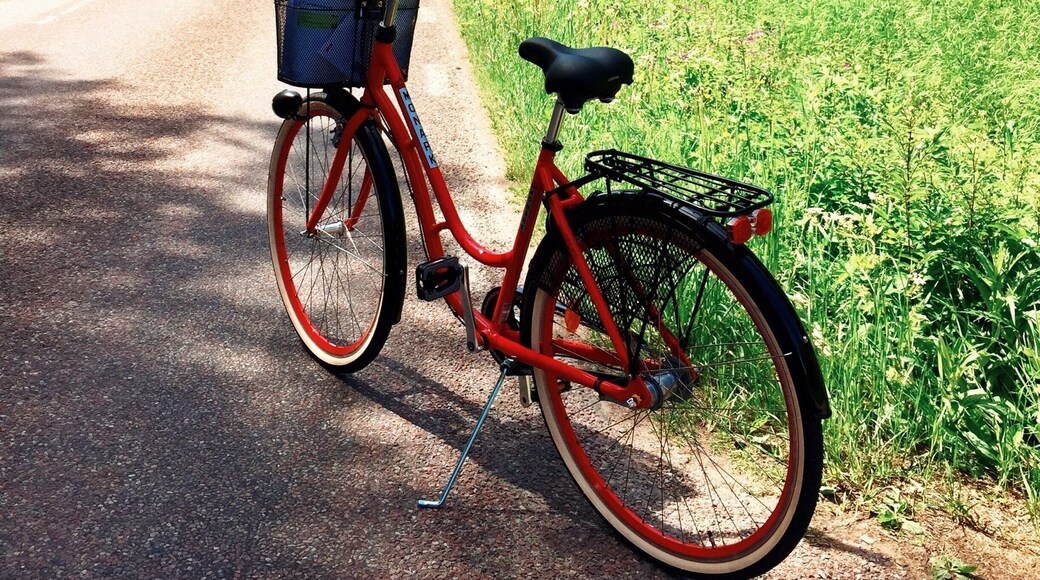 Summertime in Sweden🚲☀️🌲