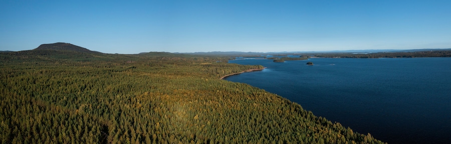 Green forest and lakeshore at Lake Siljan from above with blue sky in Dalarna, clouds in sky, Sweden.