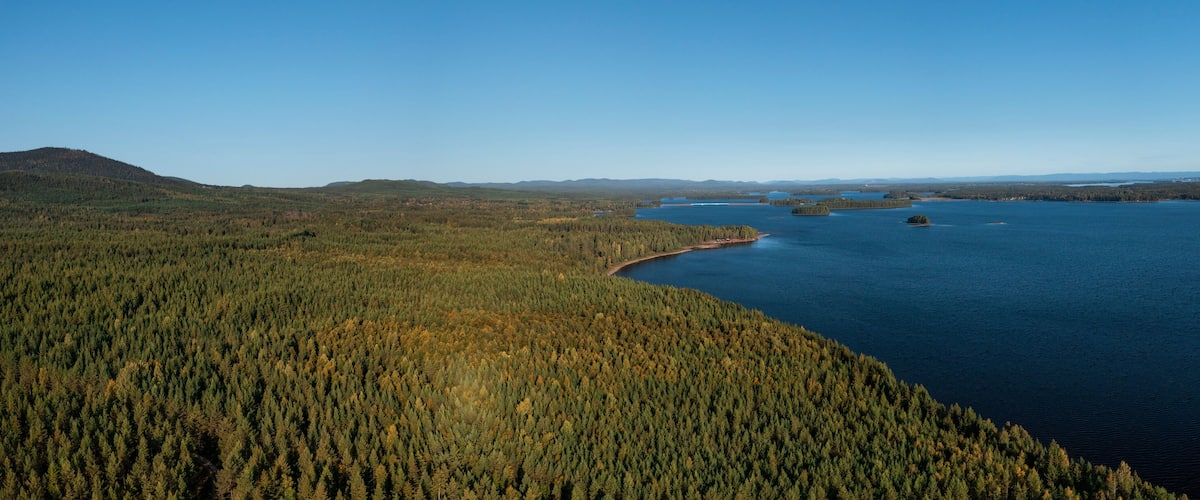 A vast forested landscape with a large body of water, a small island, and distant hills.