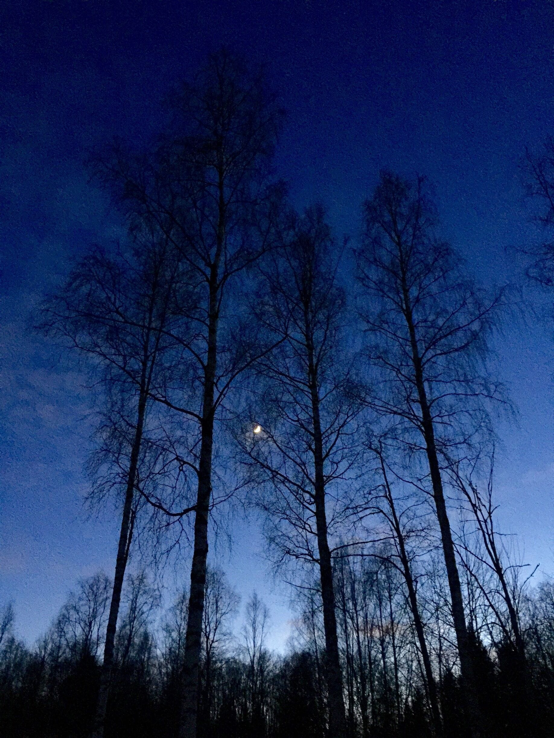 Beautiful clear night sky