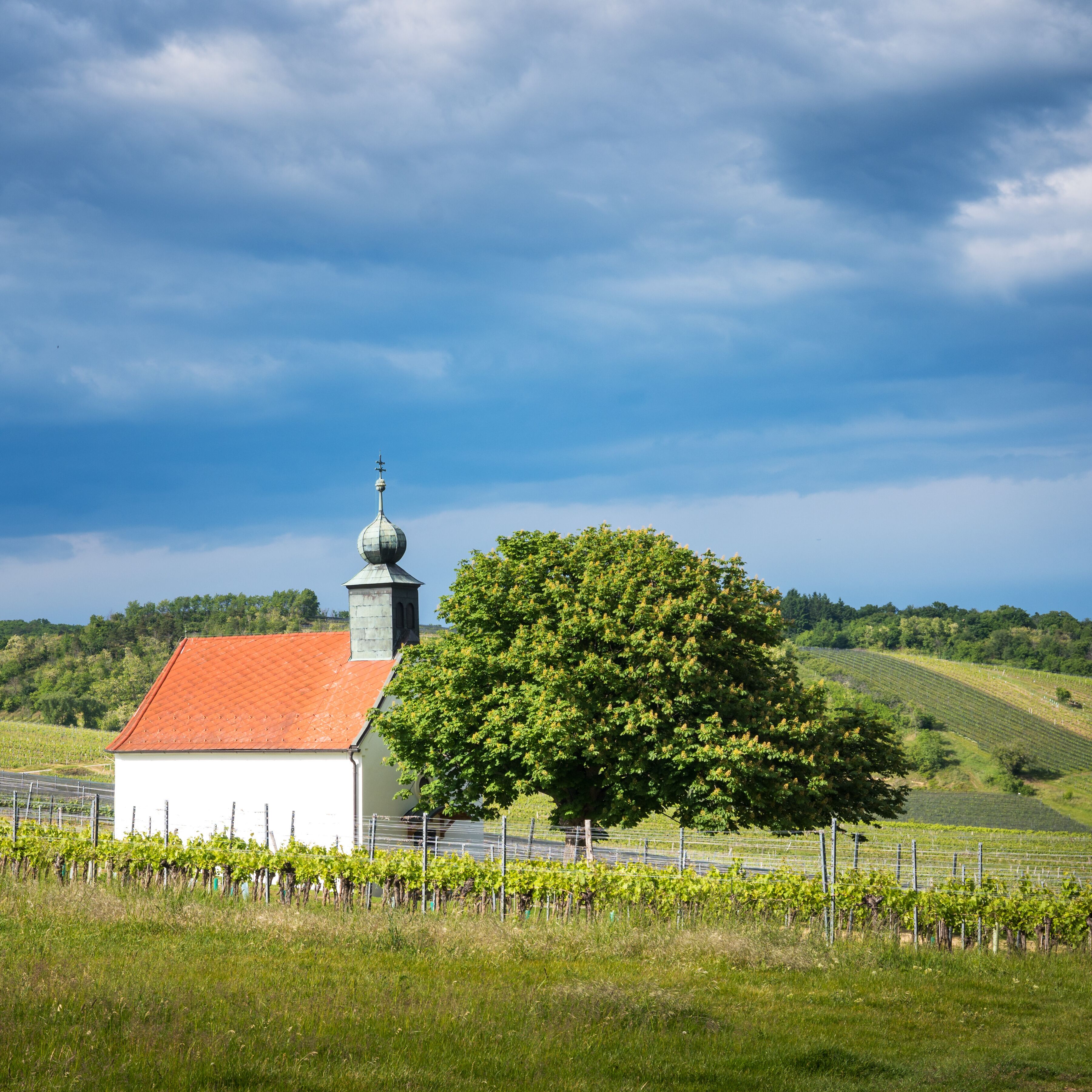 vineyards, wine garden chapel in Neckenmarkt, Oberpullendorf District, Burgenland, Austria
