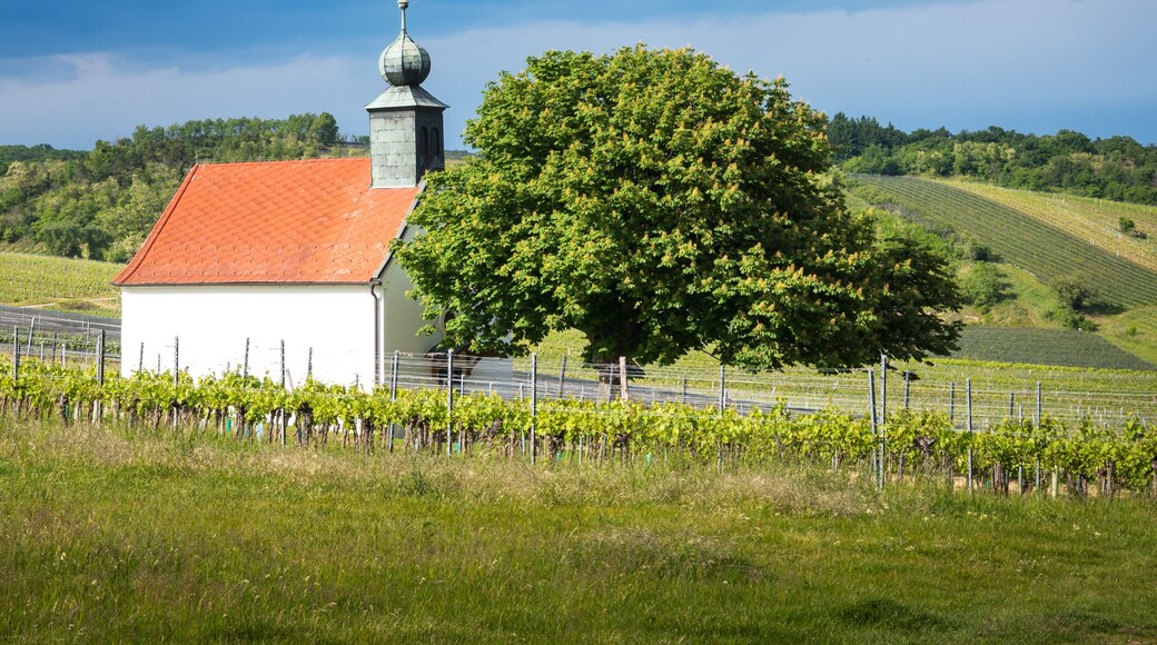 vineyards, wine garden chapel in Neckenmarkt, Oberpullendorf District, Burgenland, Austria