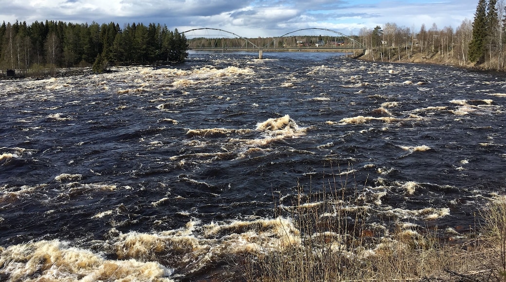 Kalixälven just outside Kalix.