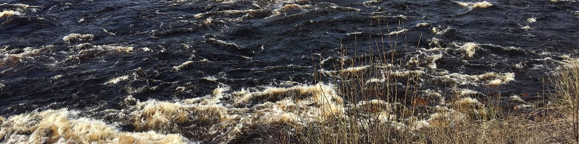 Kalixälven just outside Kalix.