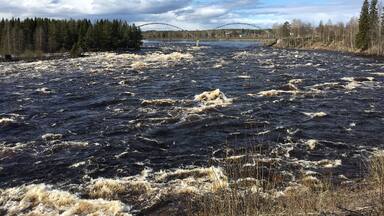 KalixÀlven just outside Kalix.