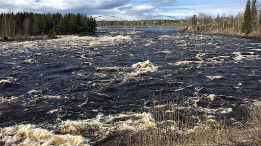 Kalixรคlven just outside Kalix.