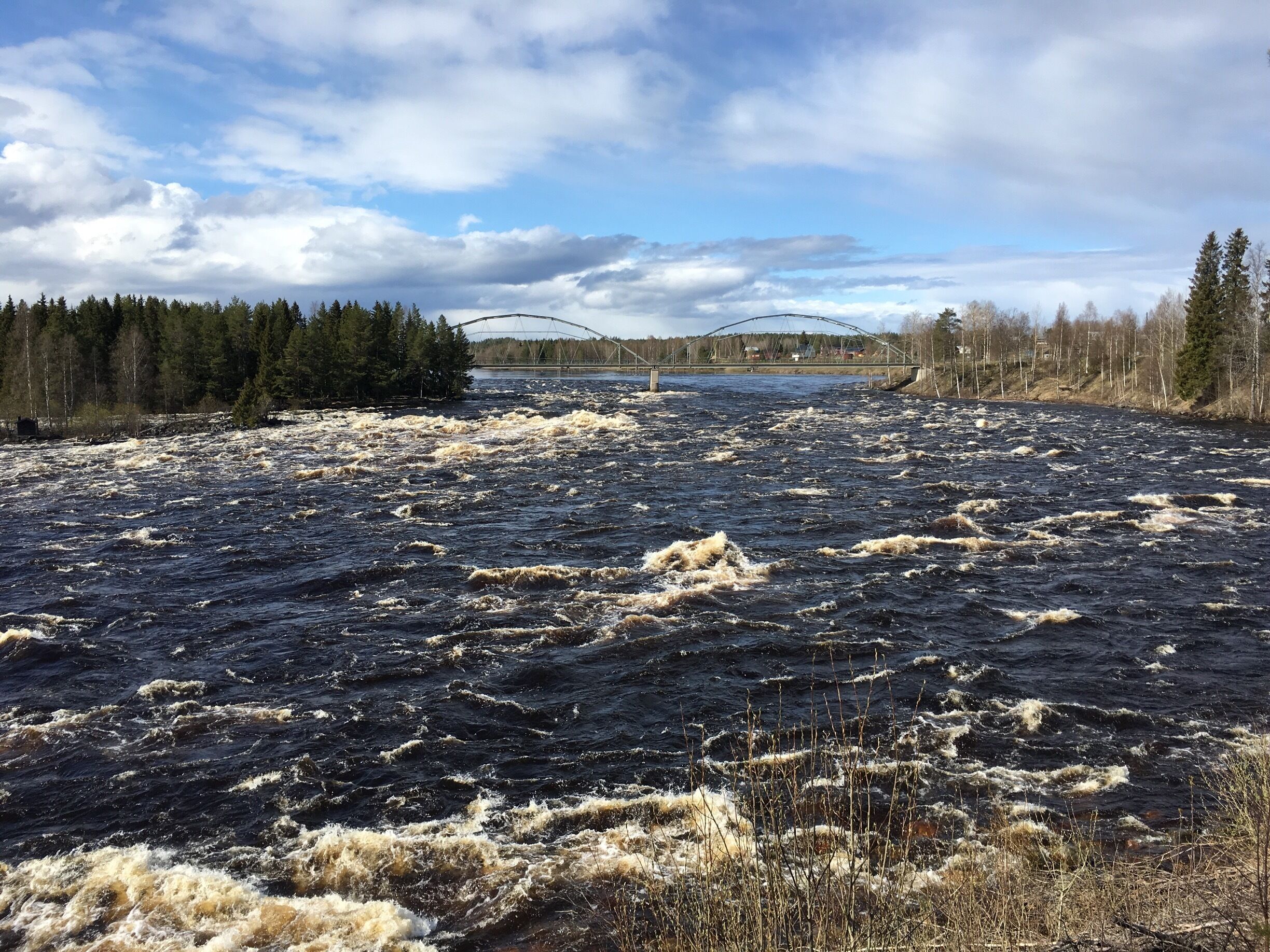 A turbulent river with a bridge in the background and dense forests on either side.