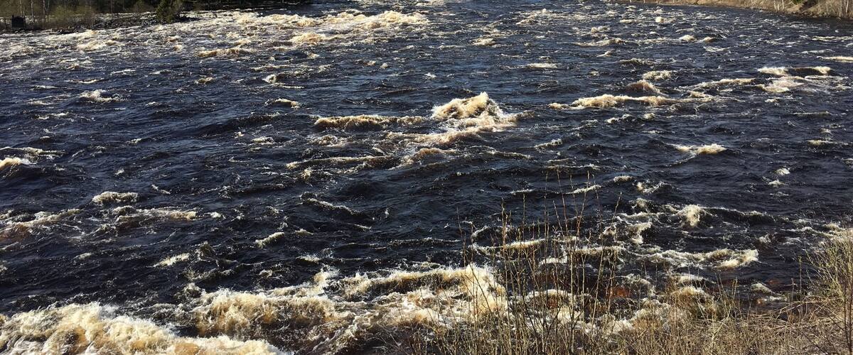 A turbulent river with a bridge in the background and dense forests on either side.