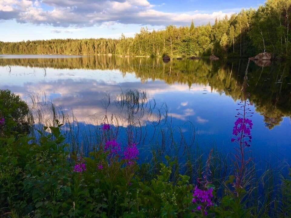 Nice reflection on a clear day in a lake in Vadstena 