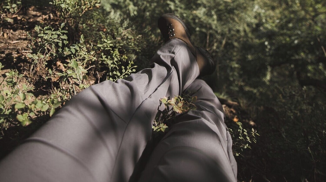 On Söderåsen is the region of Skåne's highest point at 212 m (696 ft) above sea level. It's a lovely hike around the lake and the view up top is amazing! #adventurepacked