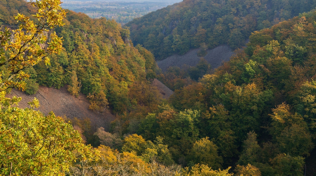 Kopparhatten viewpoint at Soderasen National park is Scania's highest point at 212 m (696 ft) above sea level.