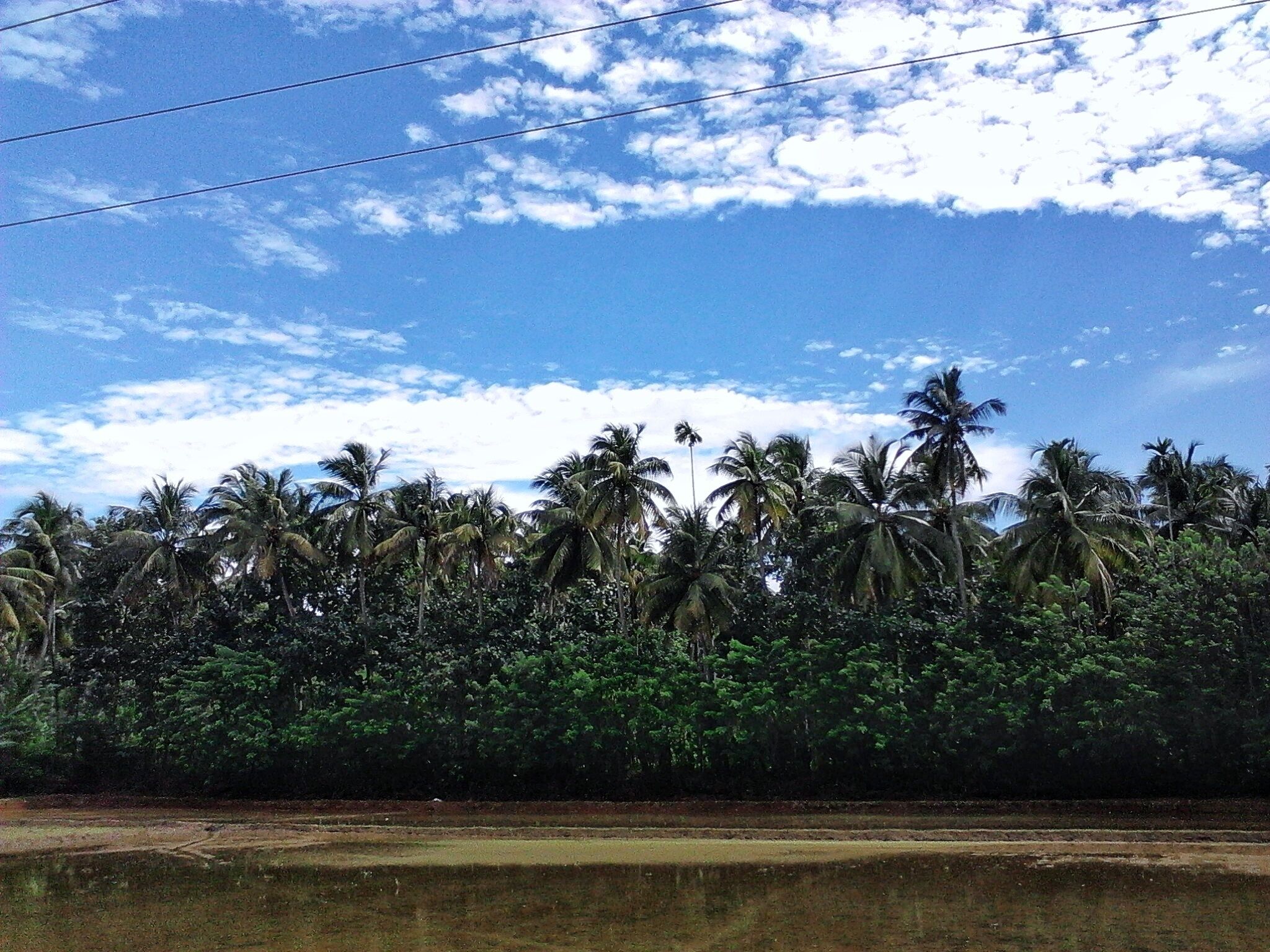This is my hometown, Shasthamkadavu.  A small village in the outskirts of Thrissur, it is a nature lover's paradise. Acres of paddy fields dancing to the eternal soft breeze, with clusters of coconut palms whispering elegantly against the luminous blue backdrop of the morning skies, the place will definitely take your breath away. Doing total justice to the natural setting is the kind of people you'll find here ;  innocent and friendly. In monsoons, the landscape changes its skin completely, being immersed in the heavy rains that flood the fields, giving a totally different perspective to the eye. I strongly recommend this place if you visit Thrissur. 