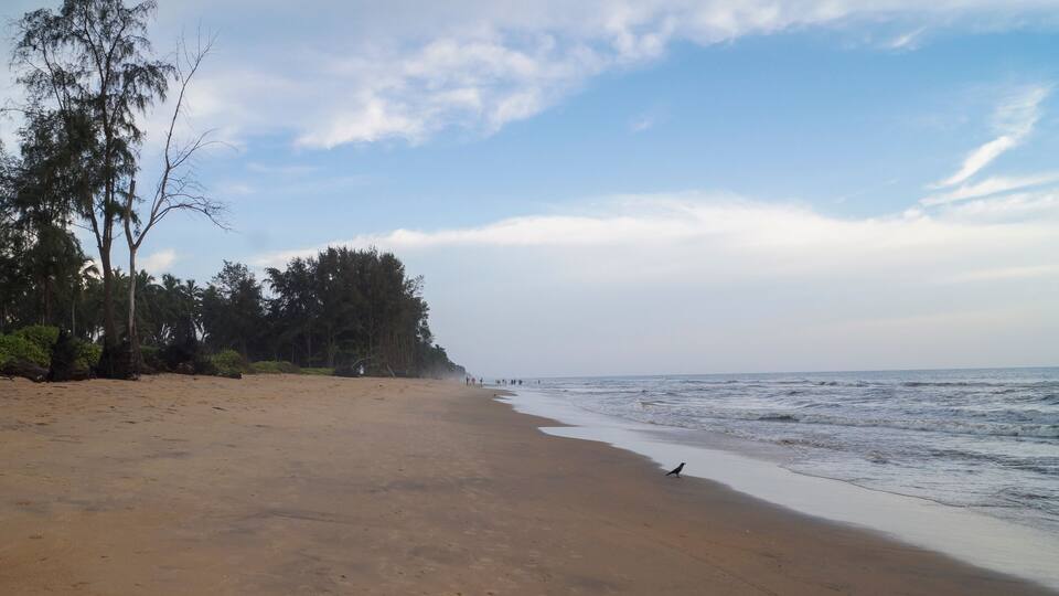 A sandy beach with a calm sea, a few people, and dense trees in the background.