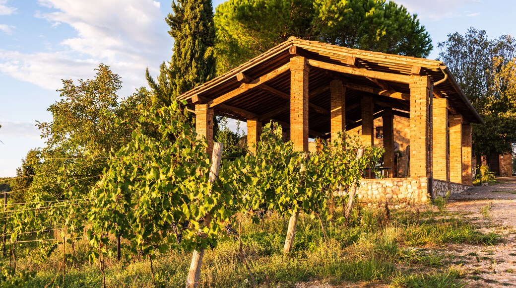 Gebäude auf der Tenuta di Monaciano am Stadtrand von Siena. Hier kann man sich eine Ferienwohnung auf dem Weingut mieten